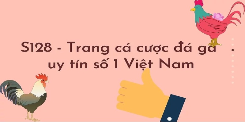 Tại sao đá gà SV128 được nhiều người ủng hộ