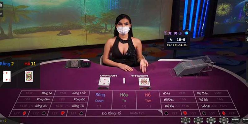 Một số cửa cược thường gặp trong Rồng hổ KUBET